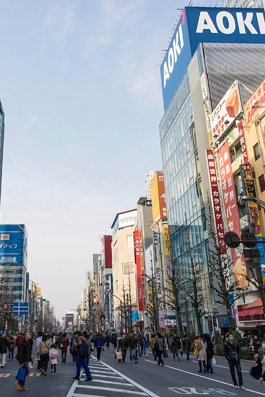 Kyoto/Osaka: Kobe & Himeji Journey Through Culture & History - Key highlights at a glance