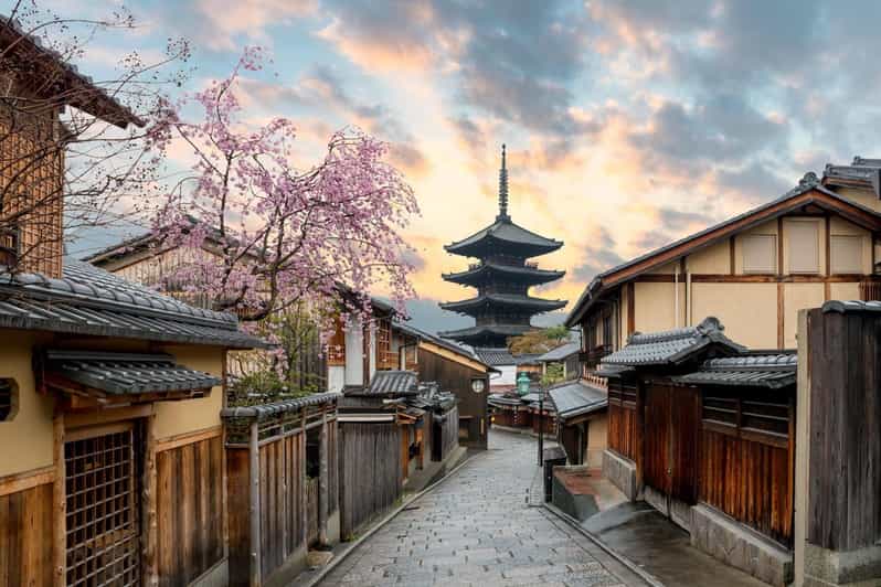 Kyoto/Osaka: Kyoto and Nara Customized Private Guided Tour - Key things I’d bet on before you book