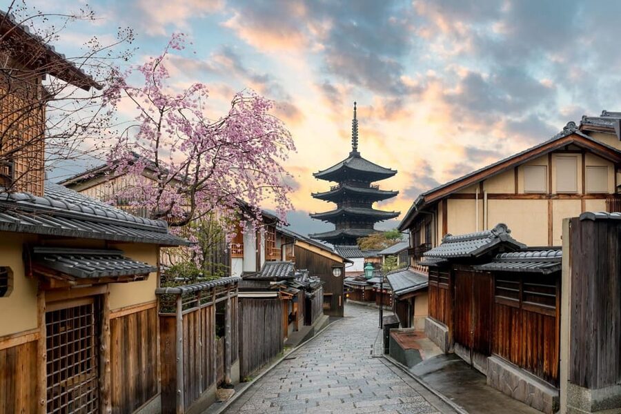 Kyoto/Osaka: Kyoto and Nara Customized Private Guided Tour - Why this Kyoto and Nara day trip feels easier than DIY