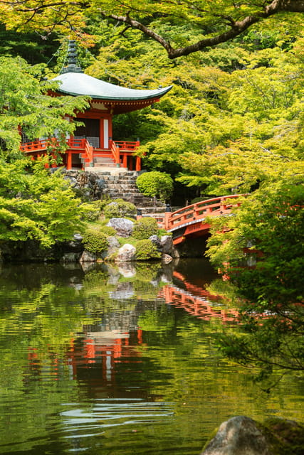 Kyoto/Osaka: Kyoto and Nara Customized Private Guided Tour - Fushimi Inari torii gates and Gion: Kyoto’s most iconic contrast