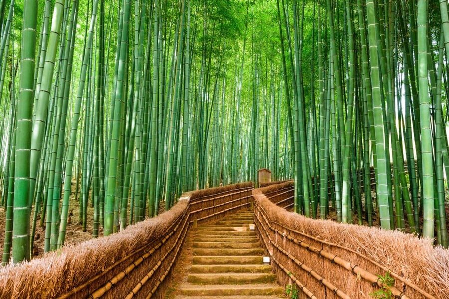 Kyoto/Osaka: Kyoto and Nara Customized Private Guided Tour - What else you can add if you want a more tailored Kyoto and Nara