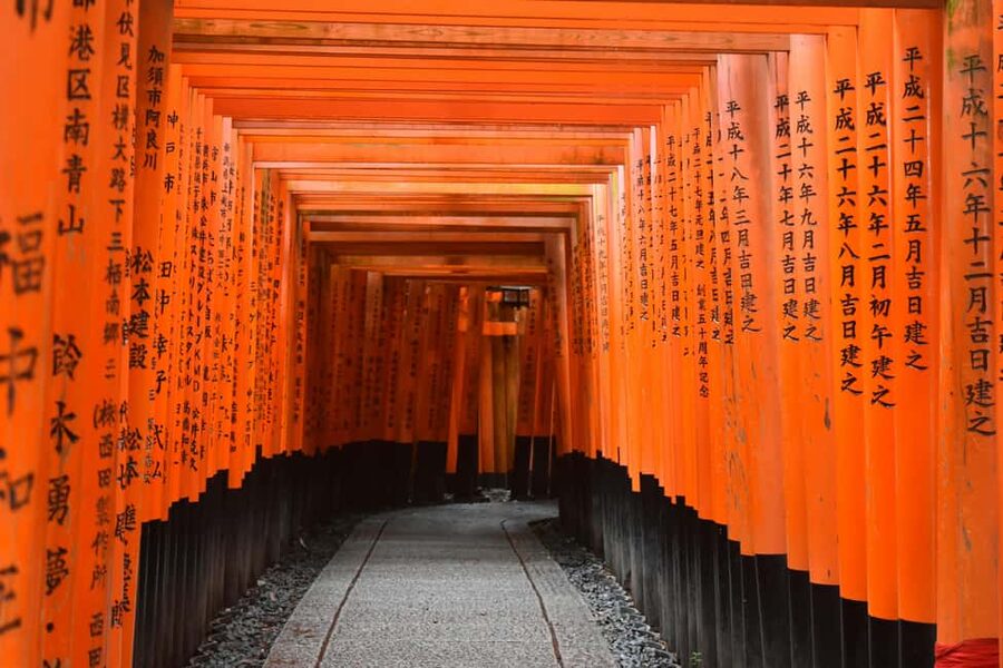 Kyoto/Osaka: Kyoto&Nara Customized Private Highlights Tour - Why a private Kyoto and Nara day beats public transport