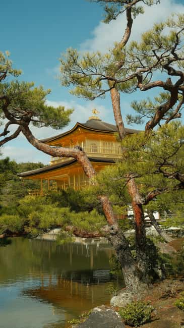 Kyoto/Osaka: Kyoto&Nara Customized Private Highlights Tour - Sanjusangen-do, a solid temple detour between giants