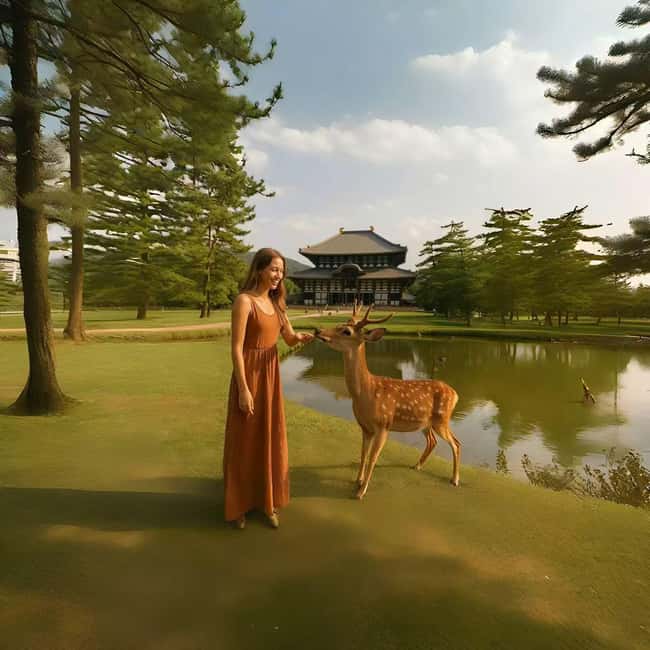 Kyoto/Osaka: Kyoto&Nara Customized Private Highlights Tour - Todai-ji and Nara Park deer time, two icons in one flow
