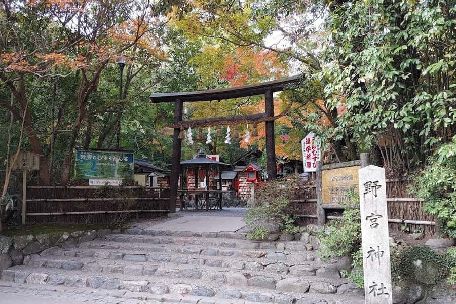 Kyoto/Osaka/Nara Private Customized Tour with Guide - Private transportation, flexible timing, and what “customized” means