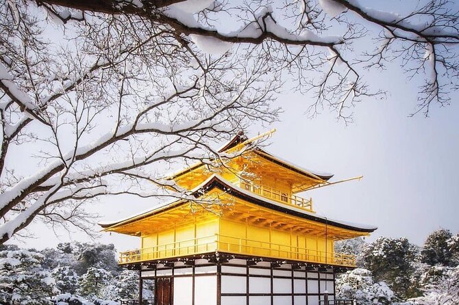 Kyoto, Osaka, Nara Private Tour by Car English Driver Guide - Nara day plan: Deer Park, Todai-ji, Kasuga, and Naramachi