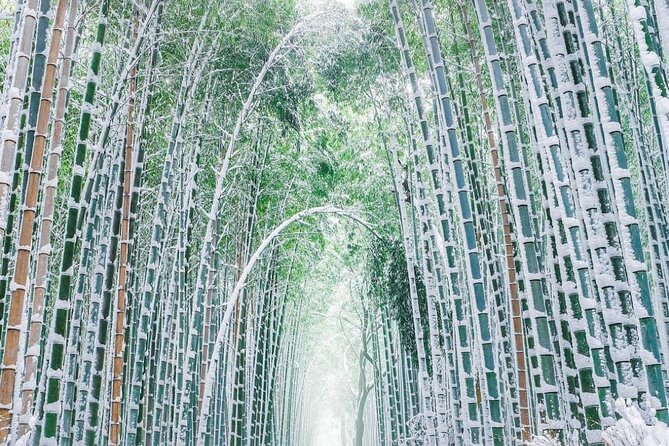 Kyoto, Osaka, Nara Private Tour by Car English Driver Guide - Osaka route that balances big sights and quick breaks