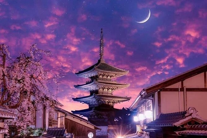 Kyoto, Osaka, Nara Private Tour by Car English Driver Guide - The English guide part: what you should expect, and what to ask