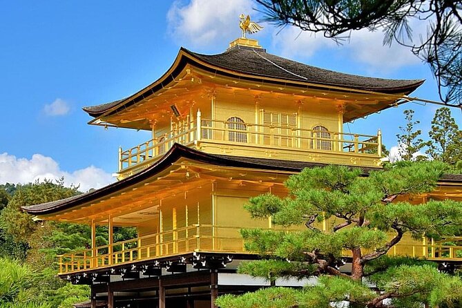 Kyoto, Osaka, Nara Private Tour by Car English Driver Guide - Who this tour fits best in Kansai