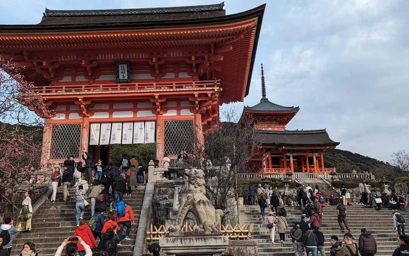 Kyoto: Personalize, private tour (3h, 5h, 8h) [W/Car Option] - Key Points That Make This Kyoto Tour Worth Your Time