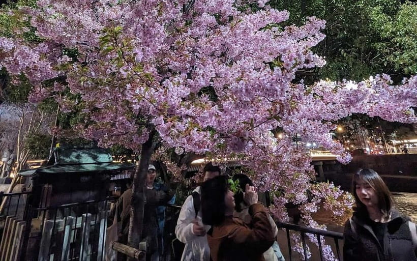 Kyoto: Personalize, private tour (3h, 5h, 8h) [W/Car Option] - Walking Reality Check, and How to Set Yourself Up