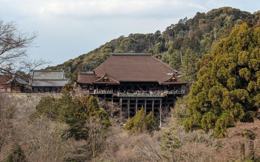 Kyoto: Personalize, private tour (3h, 5h, 8h) [W/Car Option] - Car Option: When Wheels Help You See More