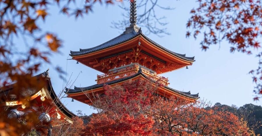 Kyoto: Personalized Guided Private Tour - Key things to know before you go