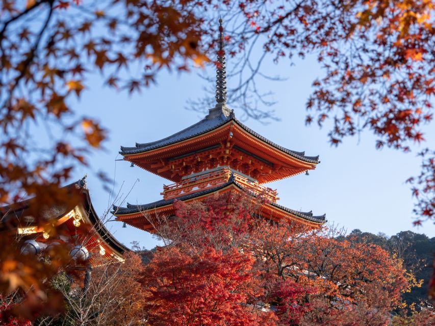 Kyoto: Personalized Guided Private Tour - Why This Kyoto Private Plan Works in 6 Hours