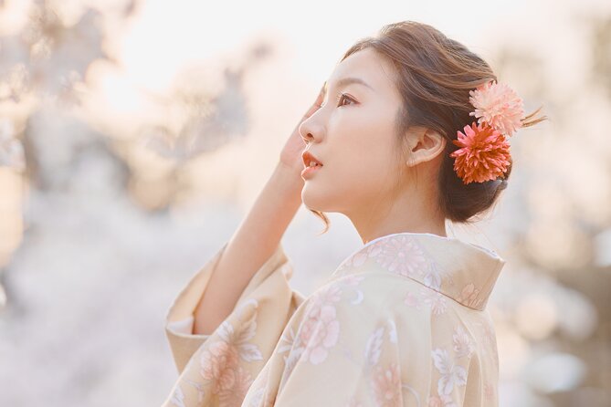 Kyoto Photography Tour - Walking through Gion: Ninenzaka and Shirakawa-style photo moments