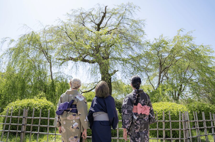 Kyoto Portrait Tour with a Professional Photographer - Key things to know before you go
