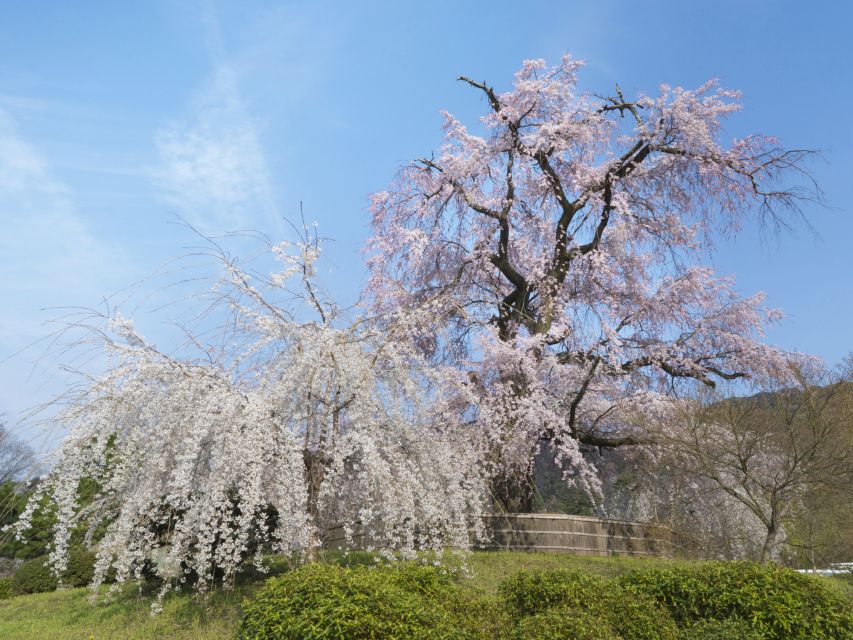 Kyoto: Private 2.5 Hour Historical Walking Tour - Entoku-in Zen Temple: Dry Garden Calm and Sliding Door Art