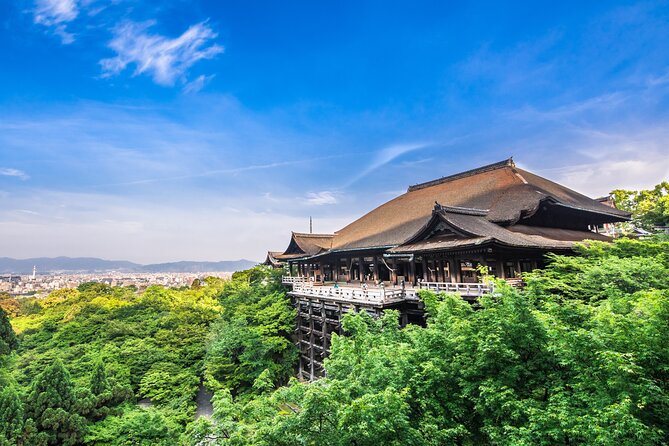 Kyoto Private 6 hour Tour: English Speaking Driver Only, No Guide - Who This Tour Fits Best in Kyoto