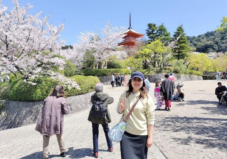 Kyoto: private and customized tour (walking/public transportation) - How the 5-hour timing works (and what you might miss)