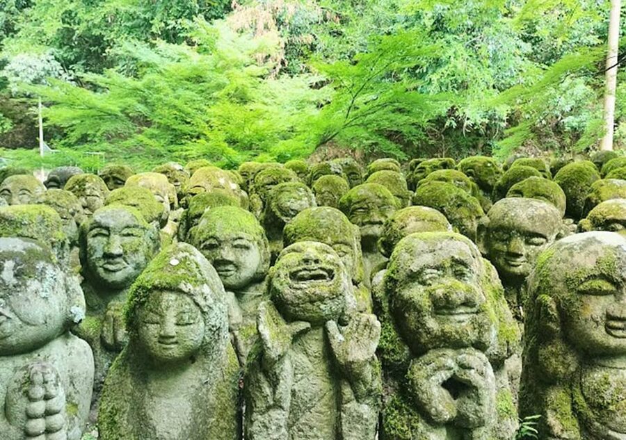 Kyoto: private and customized tour (walking/public transportation) - What each Kyoto stop gives you, stop by stop