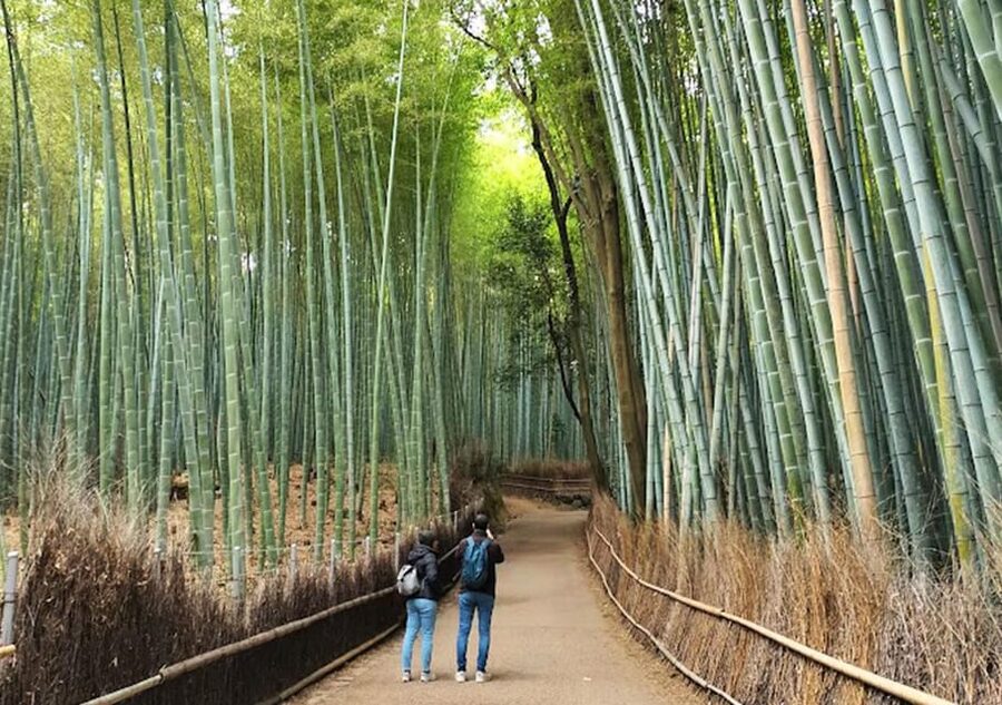 Kyoto: private and customized tour (walking/public transportation) - Comfort tips that make the day easier