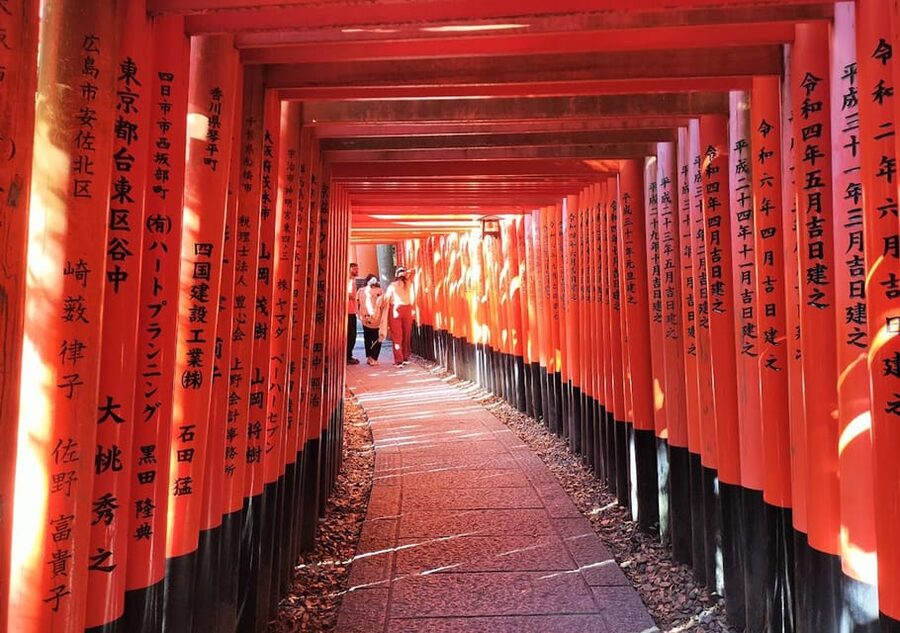 Kyoto: private and customized tour (walking/public transportation) - Should you book this Kyoto private customized tour?