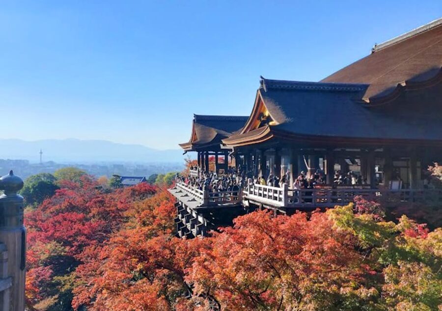 Kyoto: private and customized tour (walking/public transportation) - Four route styles, from Golden Pavilion to Heian Jingu