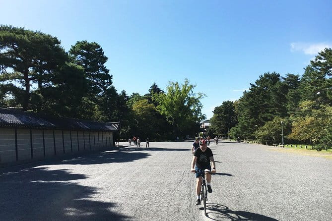 Kyoto: Private City Highlights Tour by Car - Nishiki Market, Kyoto’s Kitchen for food, snacks, and small gifts