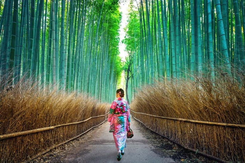 Kyoto: Private Customizable Day Tour with Guide and Vehicle - Kyoto Private Tour Key Points You Will Care About