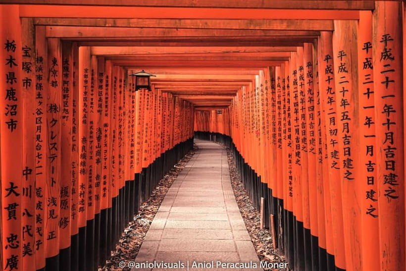 Kyoto: Private Customizable Day Tour with Guide and Vehicle - The Real Logistics, Pickup, Timing, and Getting Around