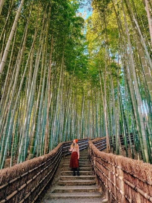 Kyoto: Private Customizable Day Tour with Guide and Vehicle - Stop 4, Gion Streets for Classic Kyoto Vibes