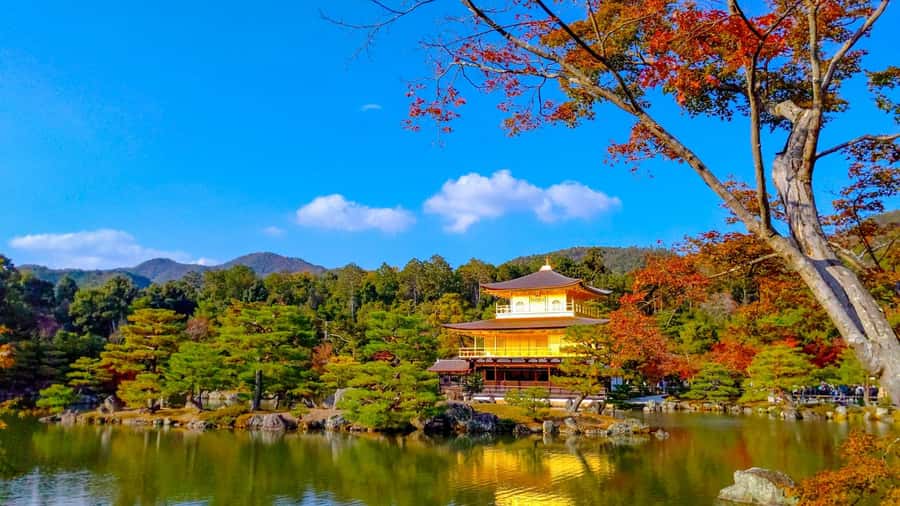 Kyoto: Private Customizable Day Trip by Car - Price and Logistics: what $581 covers, and what it does not