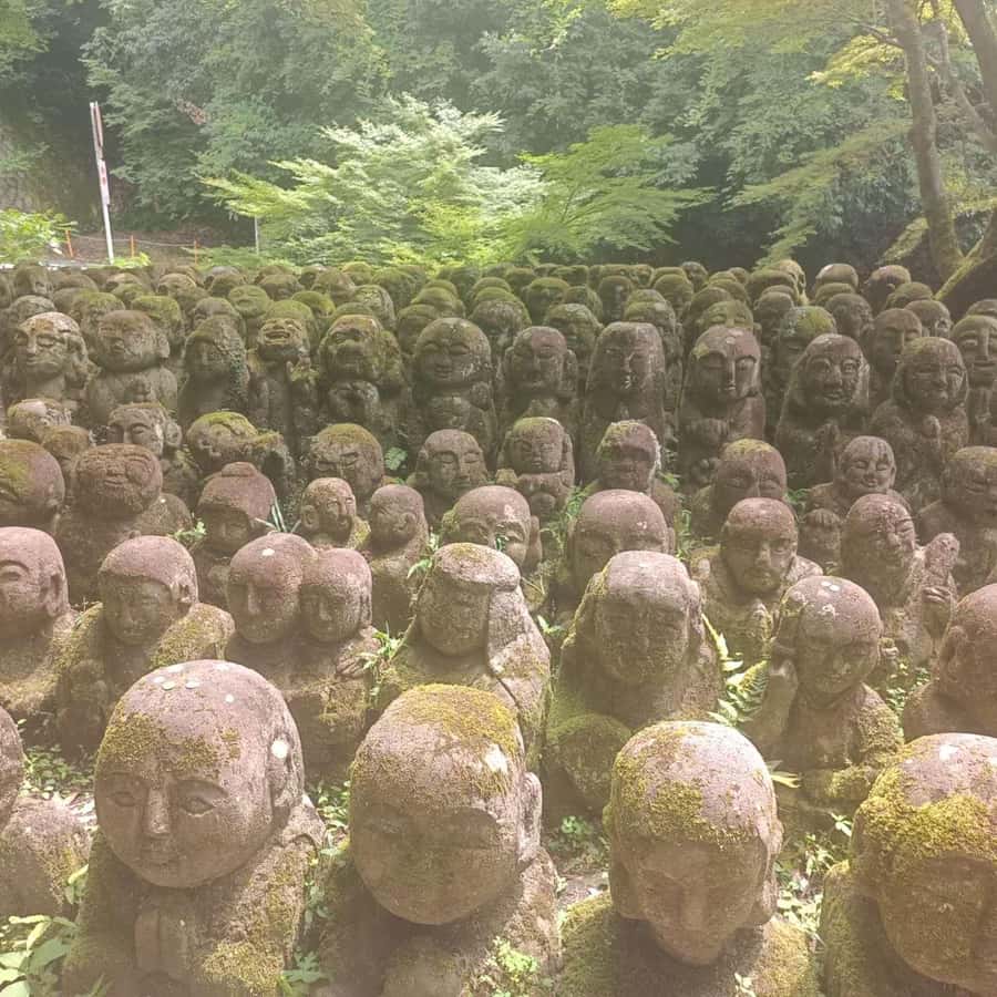 Kyoto: Private Customizable Day Trip by Car - Kiyomizu-dera in two hours: viewpoints, stairs, and the sweet spot for wandering