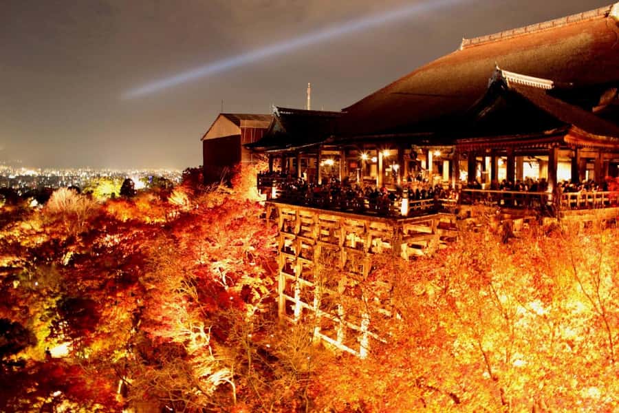 Kyoto: Private Customizable Day Trip by Car - Drivers as your in-car interpreter: smooth, not lecture-style
