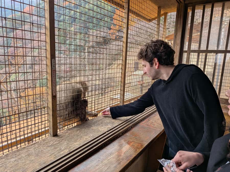 Kyoto: Private Customizable Day Trip by Car - Food and entrance fees: budget like a Kyoto realist