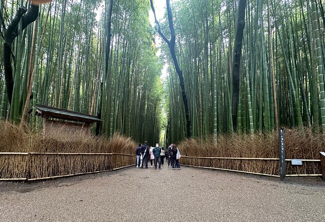 Kyoto Private Customizable Day Trip With English chauffeur - Key Things That Make This Kyoto Private Day Trip Work