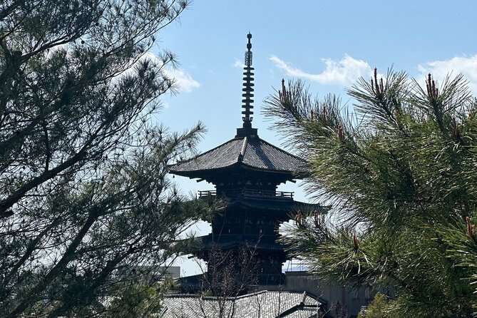 Kyoto Private Customizable Day Trip With English chauffeur - Skip the Kyoto Transit Maze With a Private Car