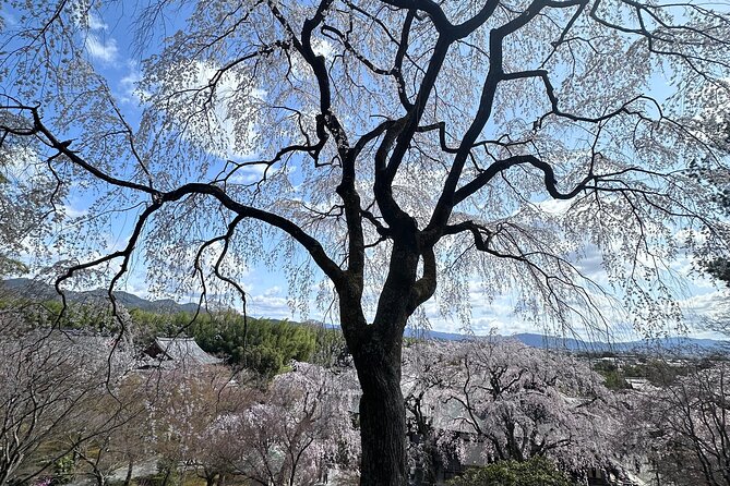 Kyoto Private Customizable Day Trip With English chauffeur - Kinkaku-ji Golden Pavilion: Quick Visit, Huge Payoff (Stop 2)