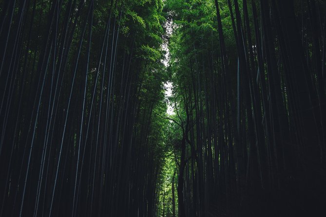 Kyoto Private Customizable Full Day Tour - Choosing your stops: what 4 to 5 attractions really means