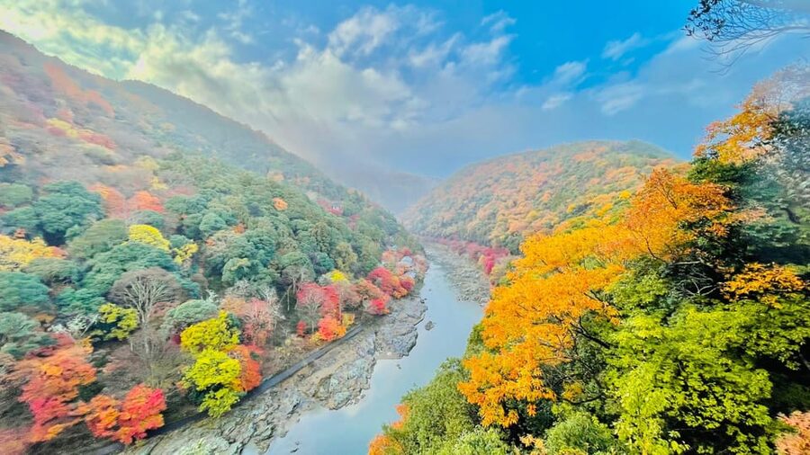 Kyoto: Private Customizable Guided tour with Luxury Vehicle - Key highlights at a glance