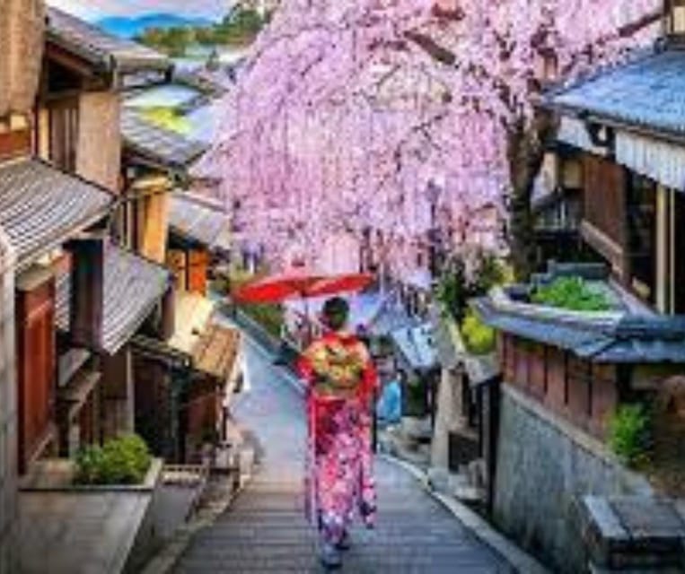 Kyoto: Private Customizable Guided tour with Luxury Vehicle - Price and logistics: does $613 per group feel fair?