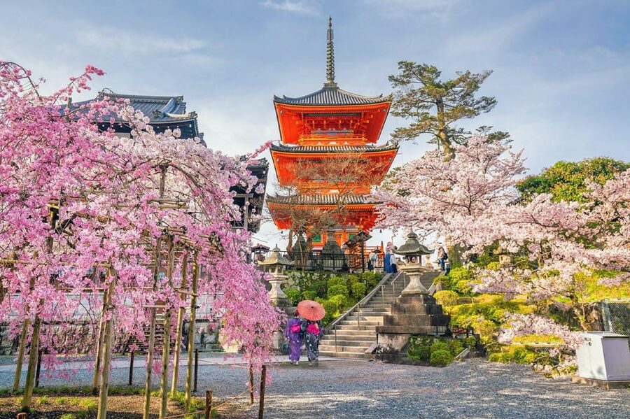 Kyoto: Private Customizable Guided tour with Luxury Vehicle - How the private Kyoto route actually feels