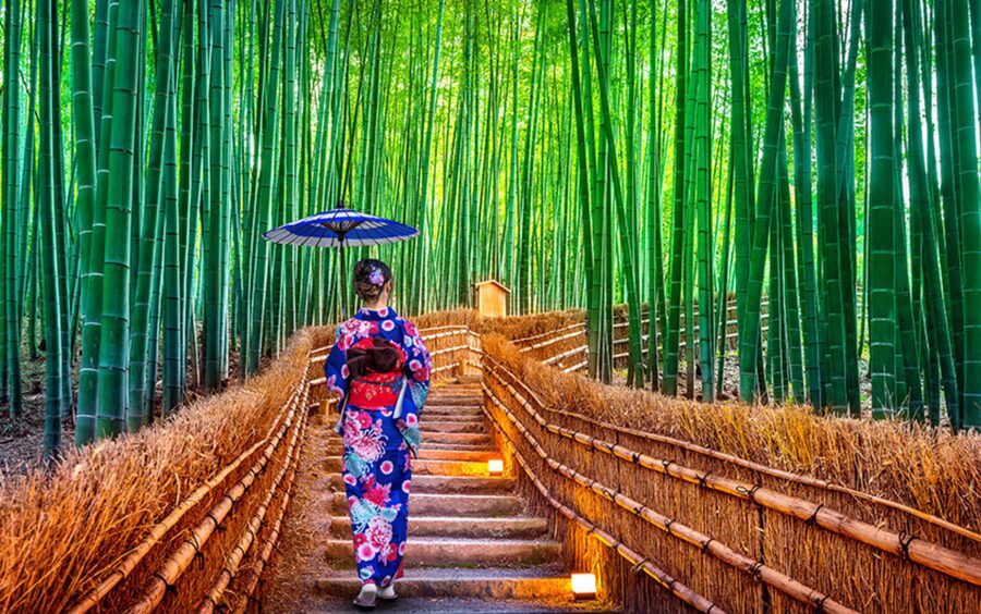 Kyoto: Private Customizable Guided tour with Luxury Vehicle - Nishiki Market: a break that keeps the day enjoyable