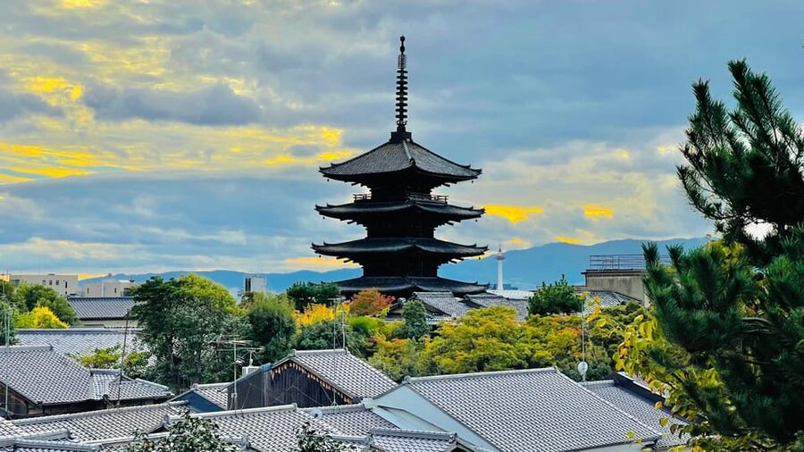 Kyoto: Private Customizable Guided tour with Luxury Vehicle - Fushimi Inari Taisha: torii gates with a guided walk