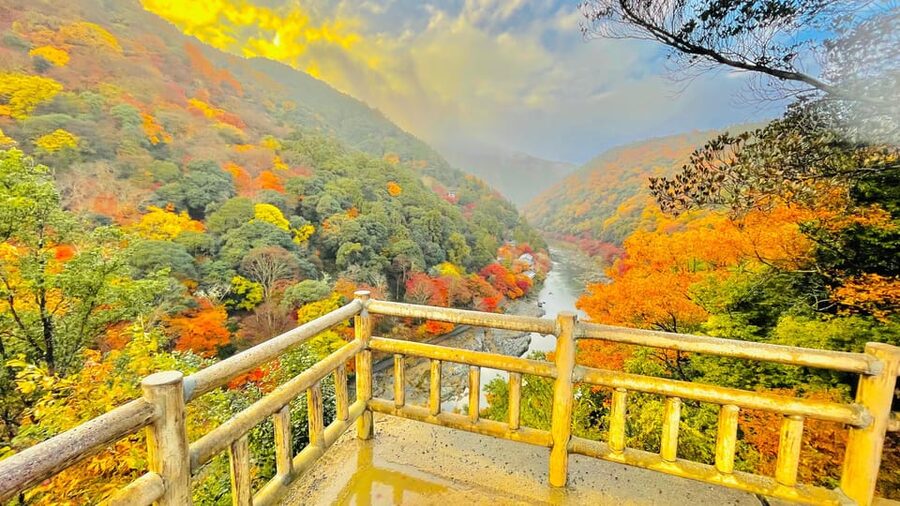 Kyoto: Private Customizable Guided tour with Luxury Vehicle - Arashiyama Bamboo Forest, Tenryu-ji, and Monkey Park early on