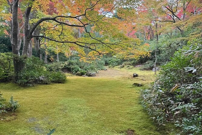 Kyoto Private & Customizable Tour with English-Speaking Driver - Arashiyama: bamboo, air, and a slow start (1.5 hours)