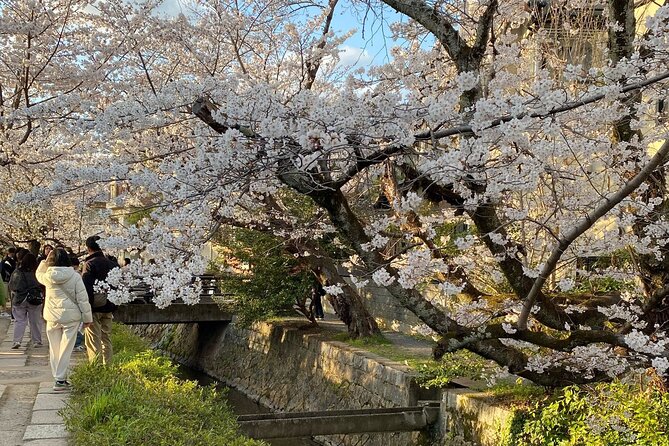 Kyoto Private & Customizable Tour with English-Speaking Driver - Kiyomizu-dera: the wooden stage and the Otowa Waterfall (1 hour)