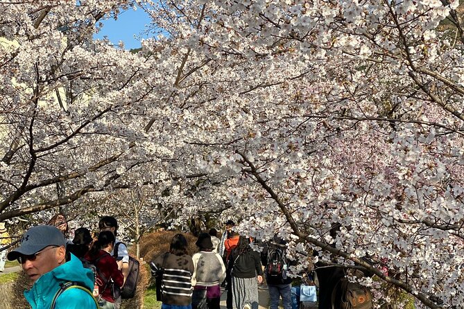 Kyoto Private & Customizable Tour with English-Speaking Driver - Sanjusangendo: 120 meters of hall and 1,001 statues (1 hour)