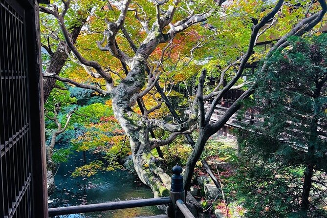 Kyoto Private & Customizable Tour with English-Speaking Driver - Kinkakuji (Golden Pavilion): reflections and pacing (1 hour)