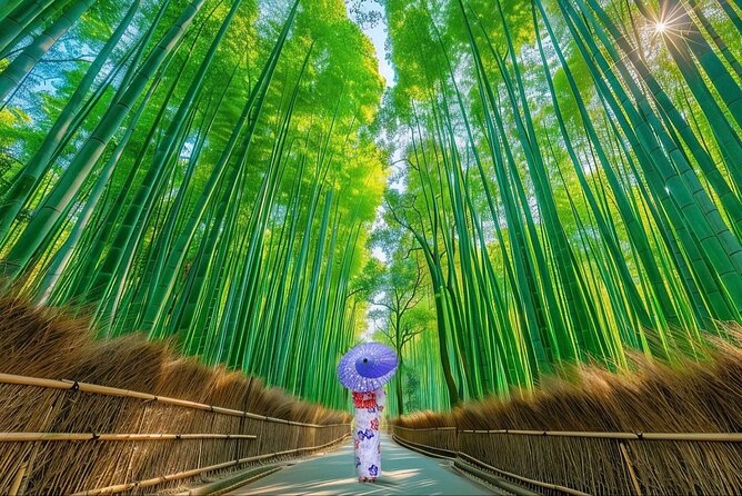 Kyoto Private Customized Day Tour with Guide - Key things to know before you go
